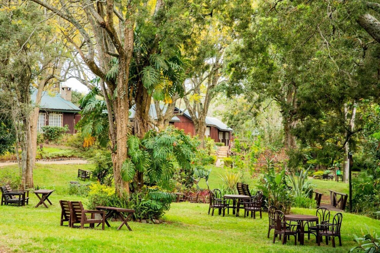Naro Moru River Lodge מראה חיצוני תמונה