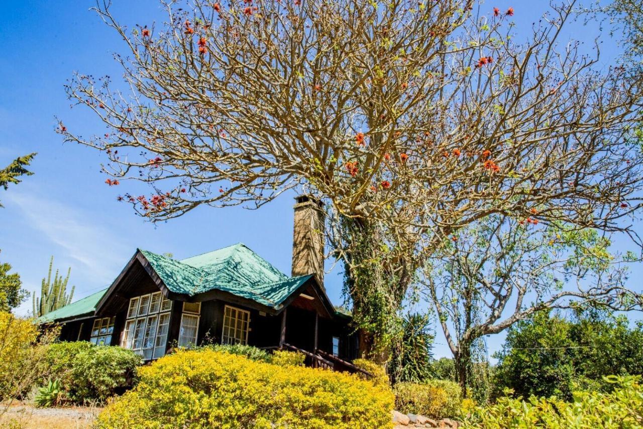 Naro Moru River Lodge מראה חיצוני תמונה