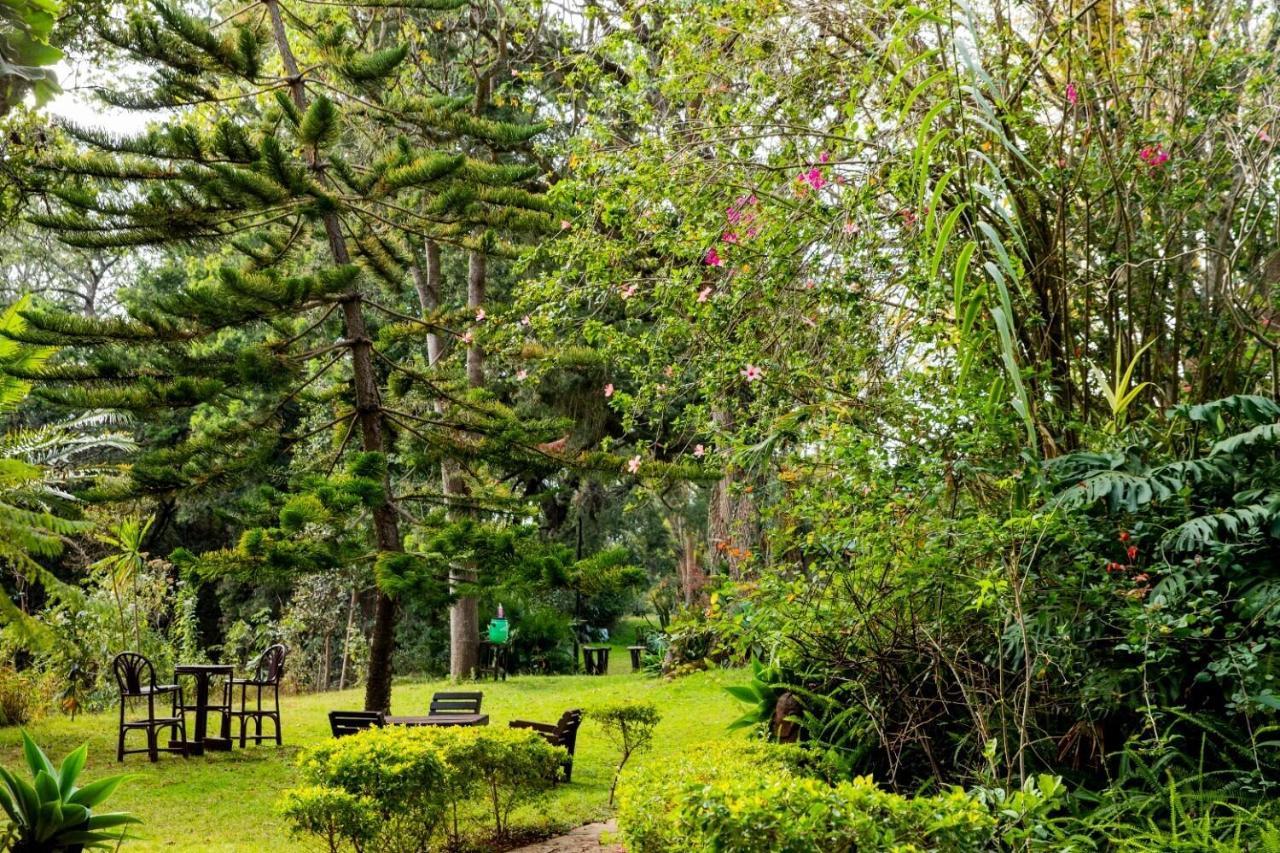 Naro Moru River Lodge מראה חיצוני תמונה