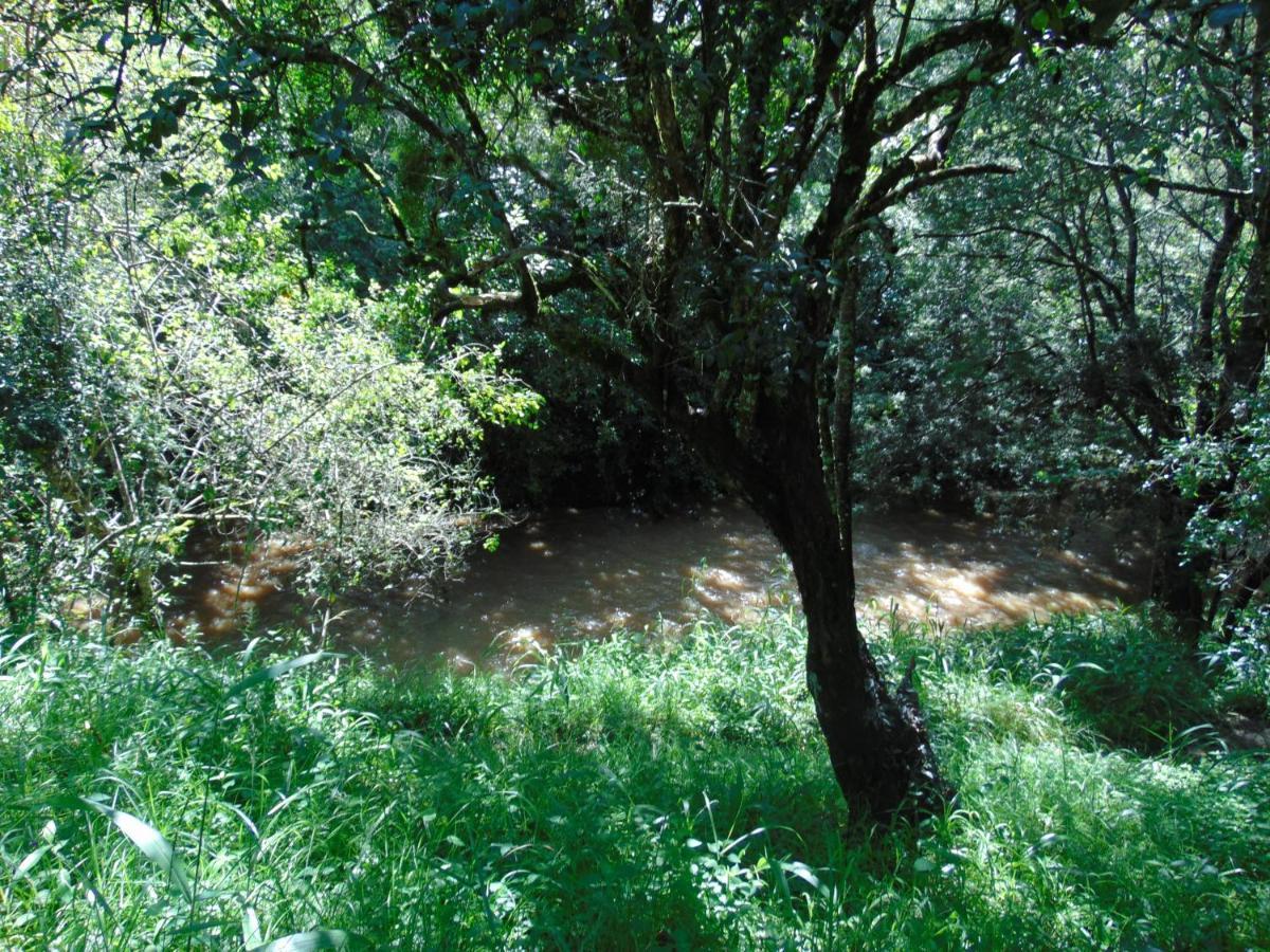 Naro Moru River Lodge מראה חיצוני תמונה