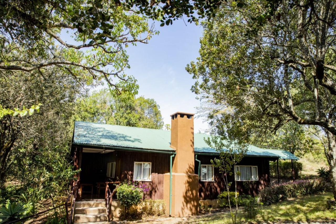 Naro Moru River Lodge מראה חיצוני תמונה